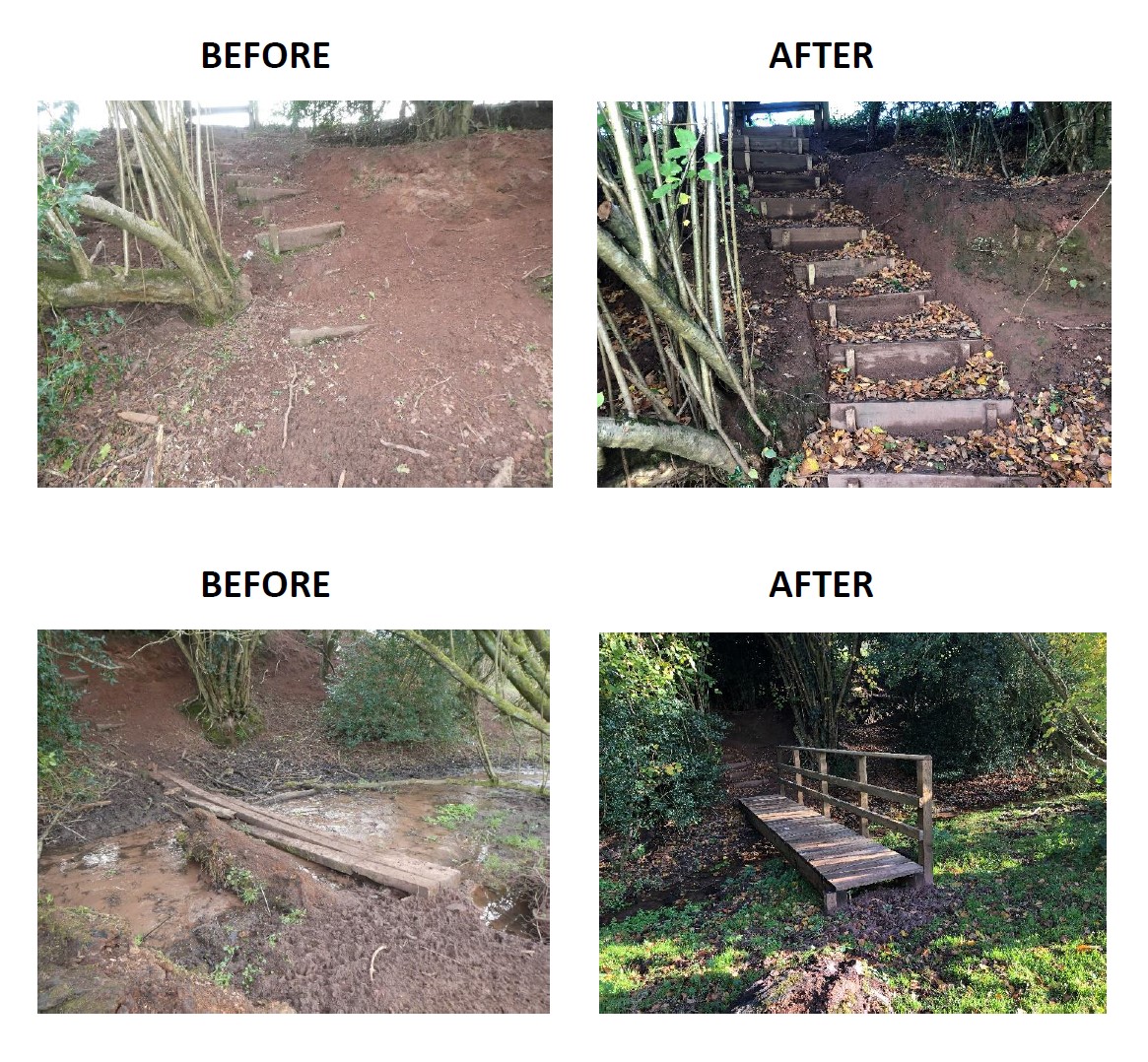 Before and after pioctures